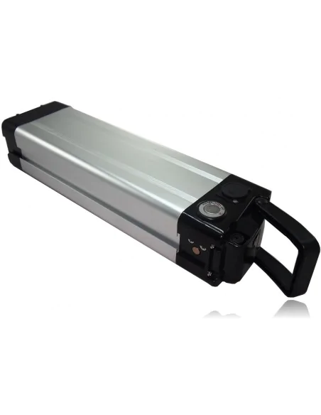 E-bike SilverFish 48V 14,5Ah