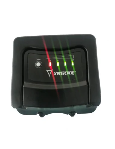Regeneration of Trikke eV BAT-004 48V