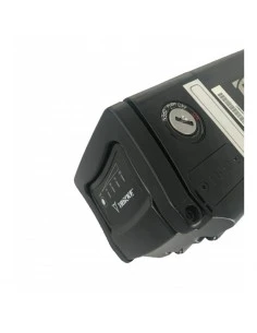 Regenerierung von Trikke eV BAT-004 48V 2