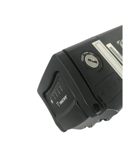 Regenerierung von Trikke eV BAT-004 48V