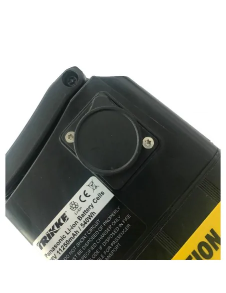 Rigenerazione di Trikke eV BAT-004 48V