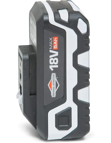 Regeneración Briggs & Stratton Murray 18V 883253