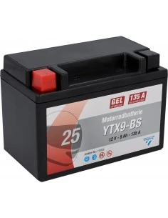 Motorcycle battery 12V 8Ah 11073 YTX9-BS 135