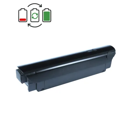 TranzX BL20 36V Battery Regeneration