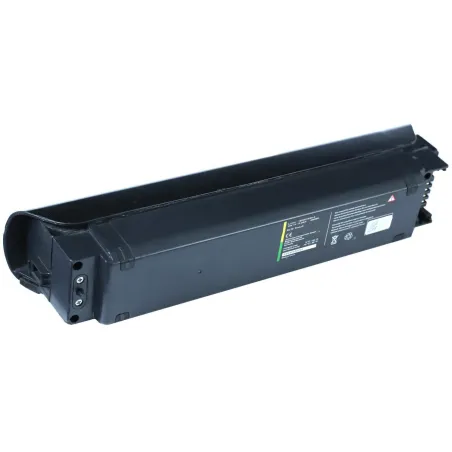 Rigenerazione batteria TranzX BL20 36V