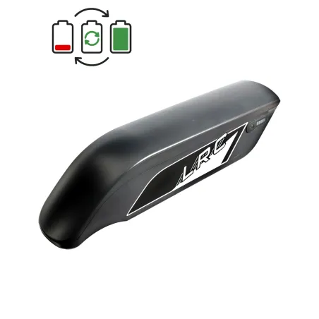 TranzX BL19 36V Battery Regeneration