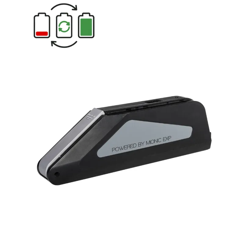 TranzX BL09 36V Accu-regeneratie