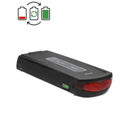 Rigenerazione batteria TranzX BL15 36V