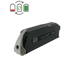 Rigenerazione batteria TranzX BL05 24V