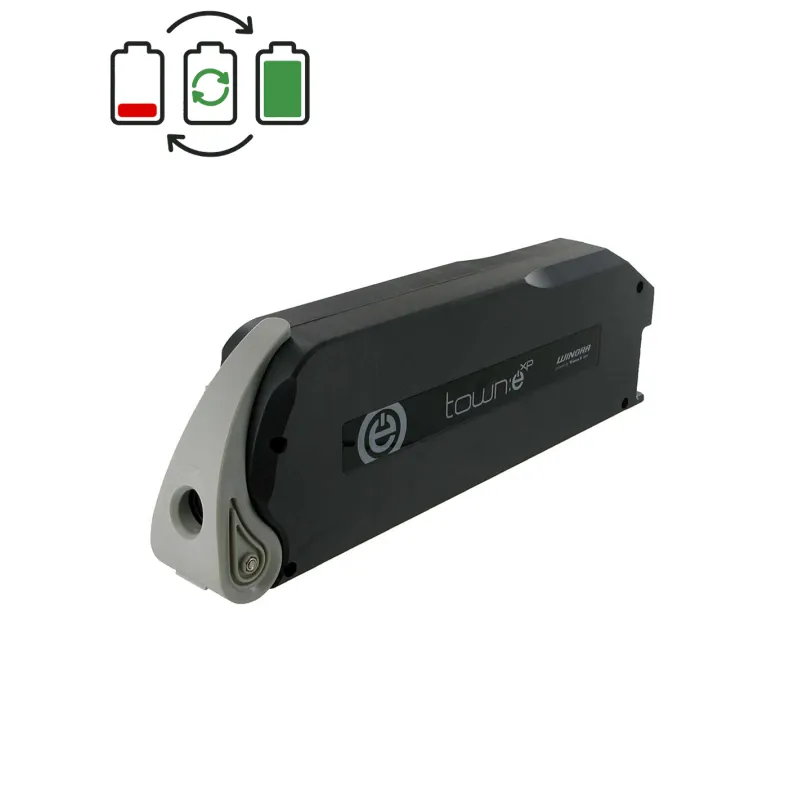 Rigenerazione batteria TranzX BL05 24V