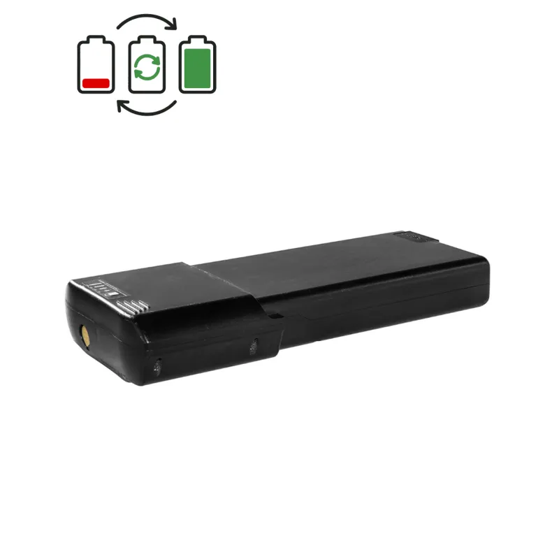 Rigenerazione batteria Ansmann 24V