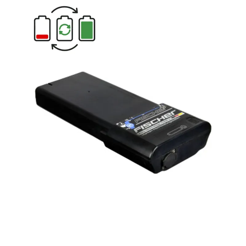 Rigenerazione batteria Fischer 36V