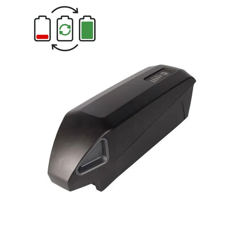 Giant Energypack 400 36V Accu Regeneratie