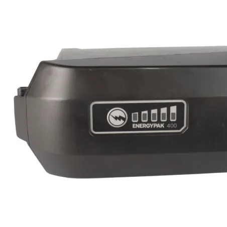 Giant Energypack 400 36V Accu Regeneratie