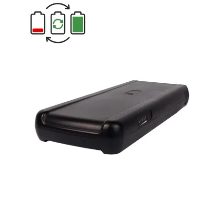 Sparta 36V Battery Regeneration