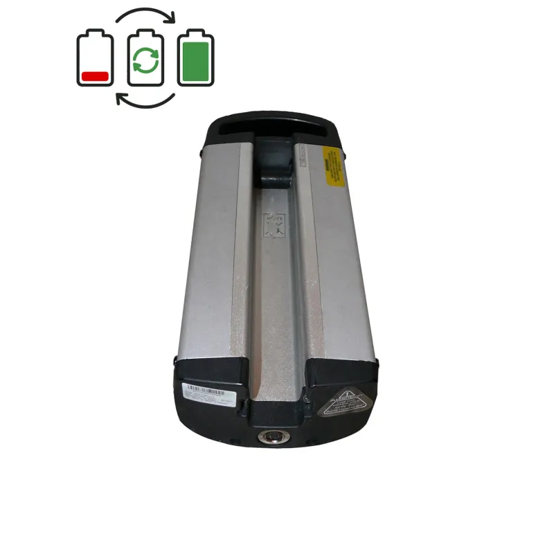 Regenerace baterie A2B 36V