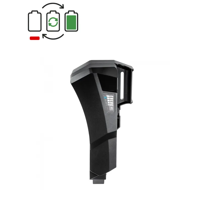 Rigenerazione batteria AXion 36V Derby Cycle Kalkhoff