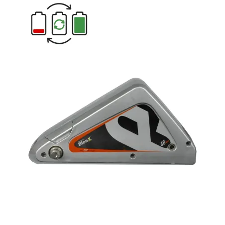 Rigenerazione batteria BionX 48V