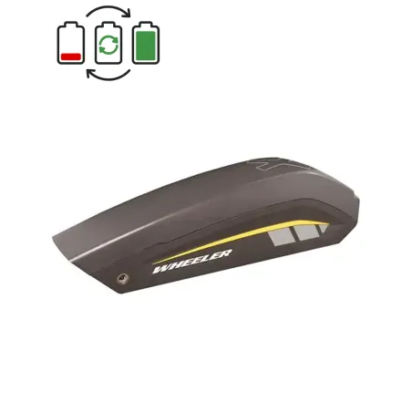 Regeneracja baterii BionX 48V