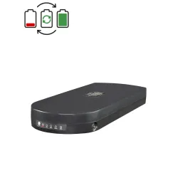 Régénération batterie Tianneng 24V