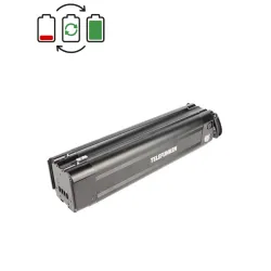 Regenerácia batérie Telefunken 36V