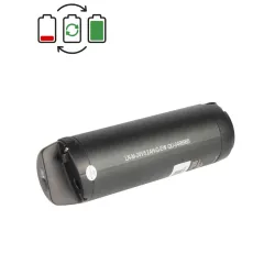 Regenerace baterie Sushi 24V