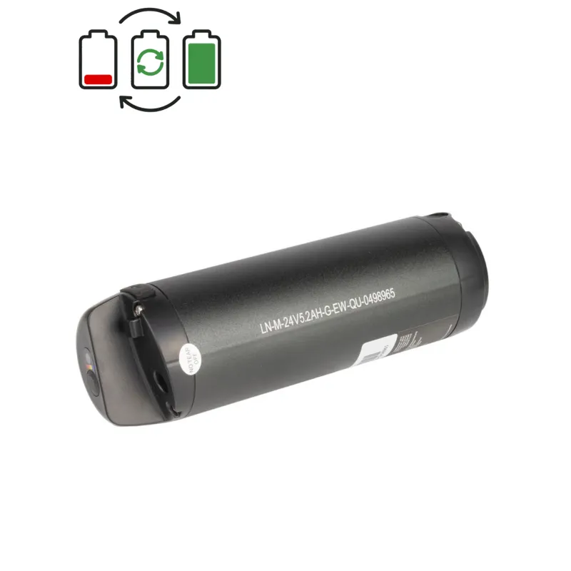 Régénération batterie Sushi 24V