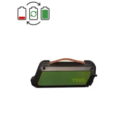 Prophete Trio 36V battery regeneration