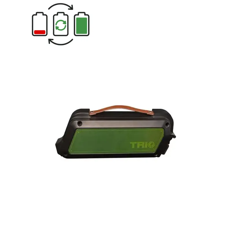 Regenerace baterie Prophete Trio 36V