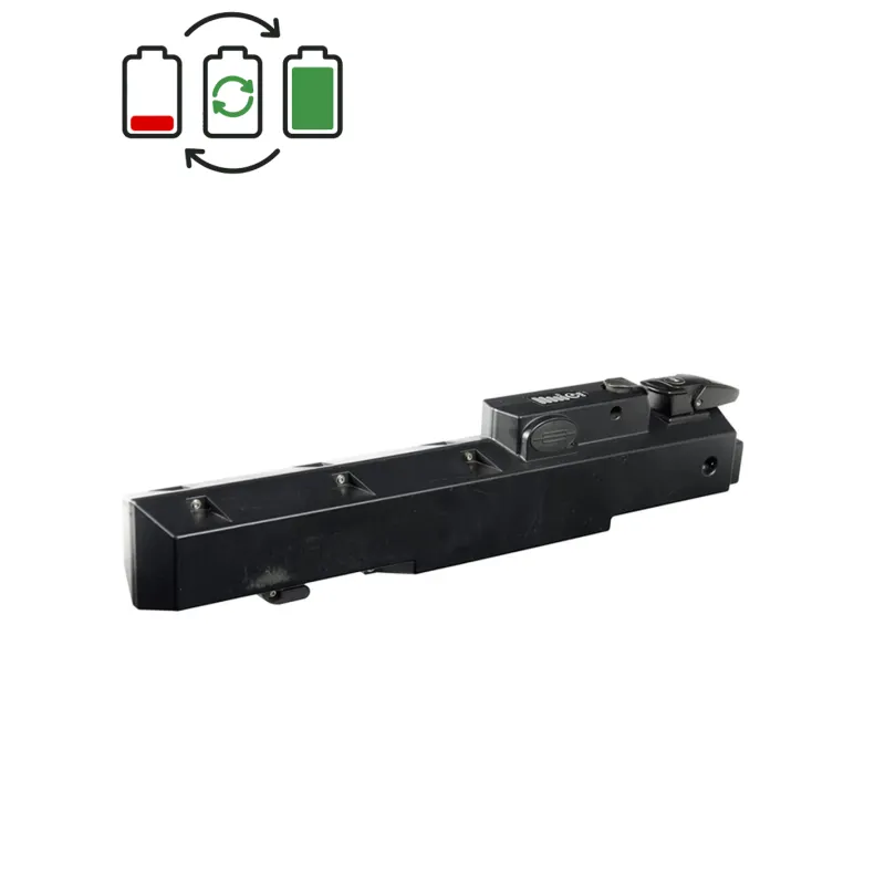 Régénération batterie Panterra SP 36V