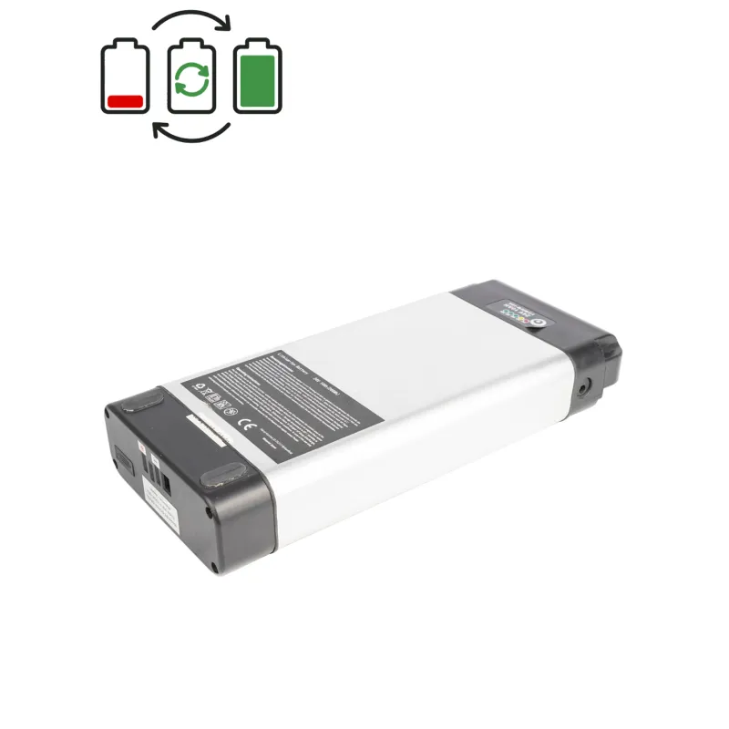 Régénération batterie Karcher 24V