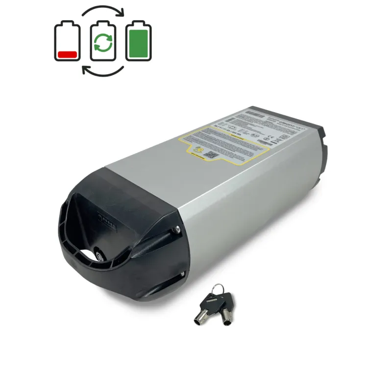 Regeneracja baterii Cleantron van Raam 36V