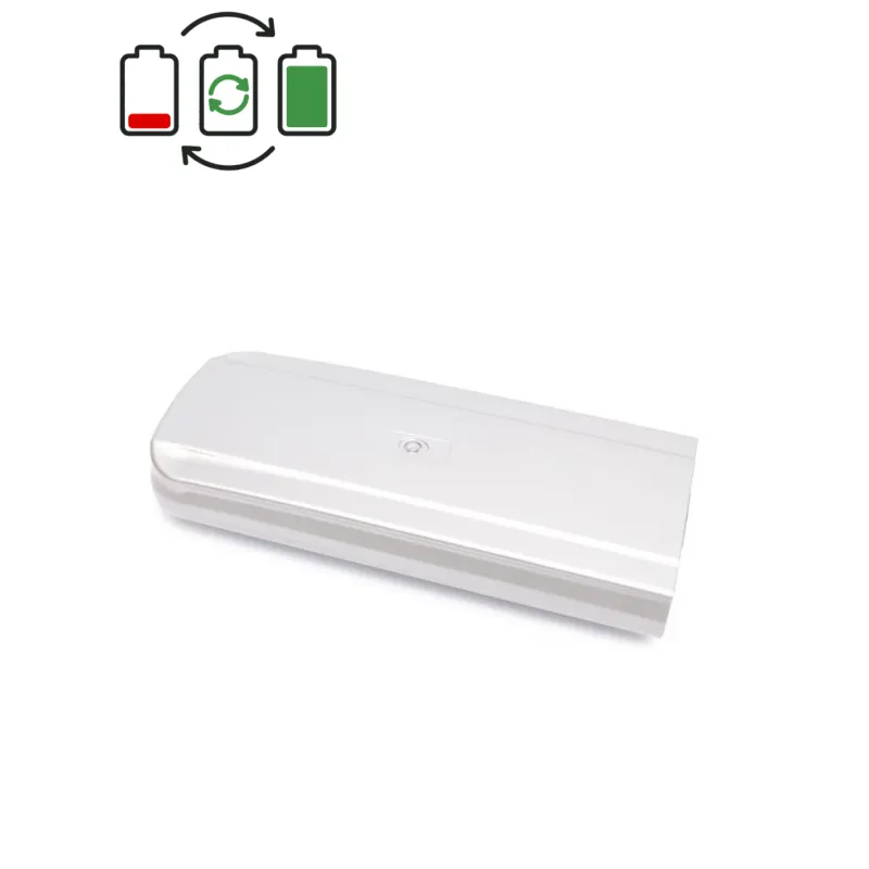 Rigenerazione batteria Sparta Batavus 36V