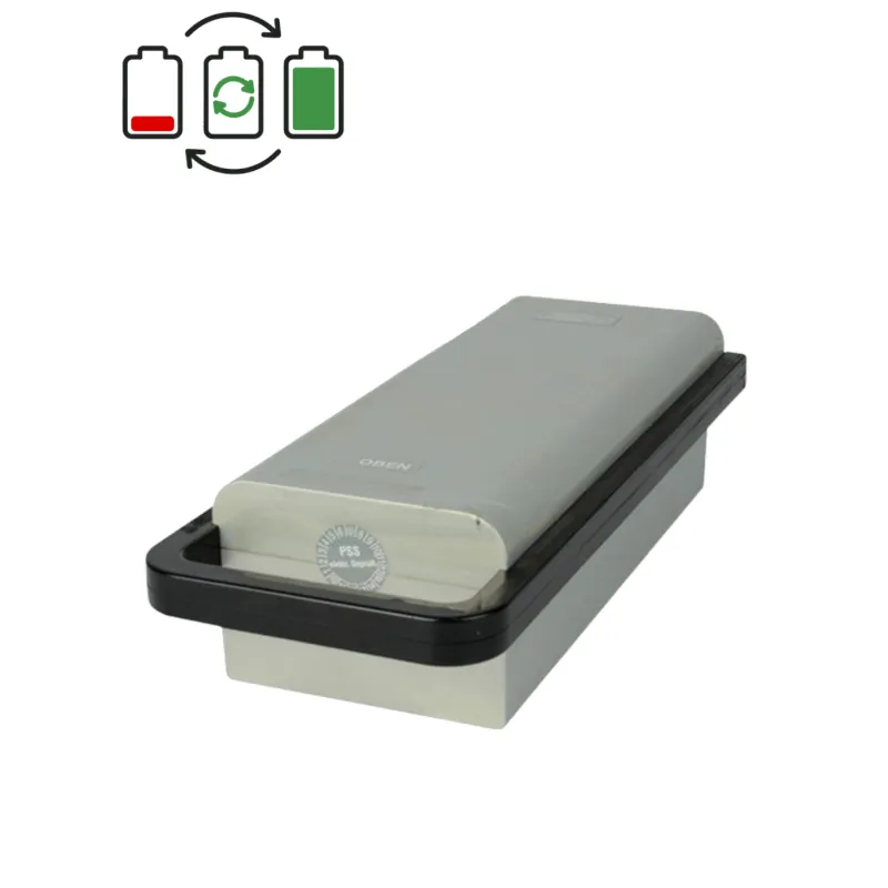 Rigenerazione batteria Clean Air Bike FBGT211 36V