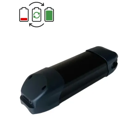 Régénération batterie BMZ 36V