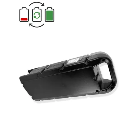 Regenerace baterie BMZ Cargo 36V