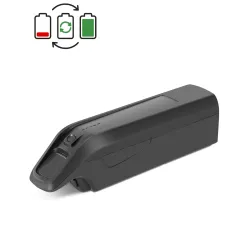 Régénération batterie Prophete ZZ131 36V