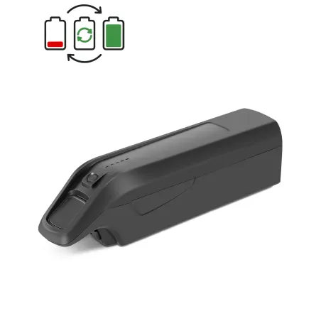 Rigenerazione batteria Prophete ZZ131 36V