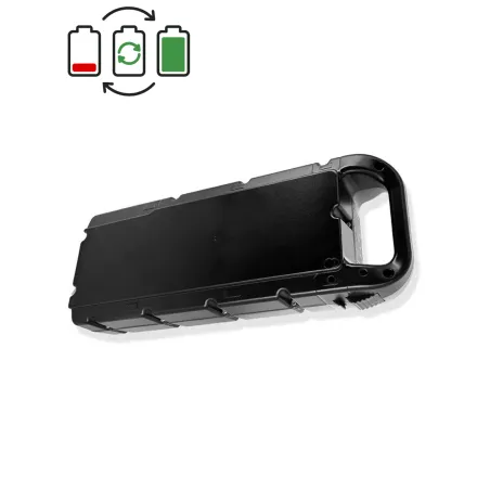 Rigenerazione batteria Heinzmann 36,2V