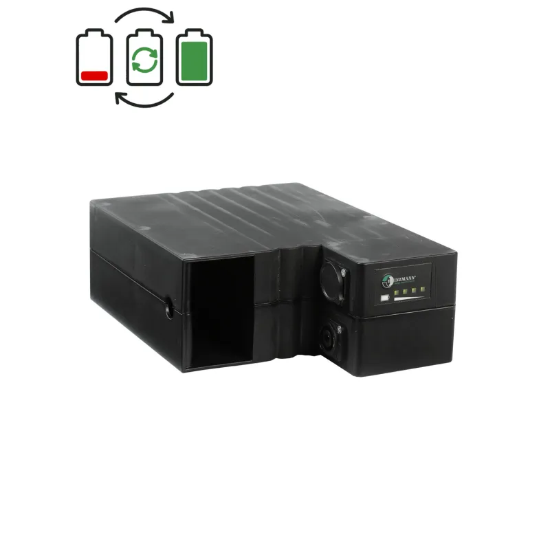 Regeneracja baterii Heinzmann 36V