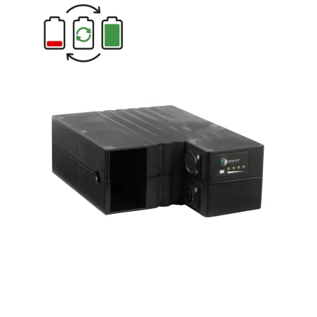 Regeneracja baterii Heinzmann 36V