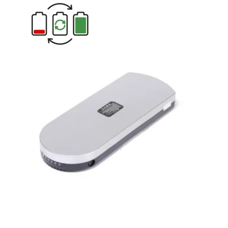 Rigenerazione batteria MiFa 36V