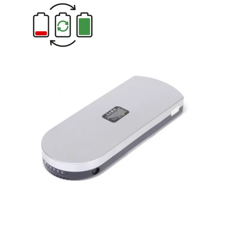 MiFa 24V battery regeneration