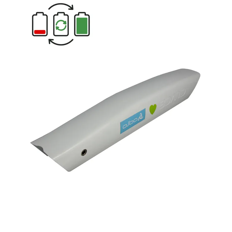 Regeneratie MiFa 48V accu