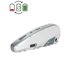 Bulls 36V Battery Regeneration