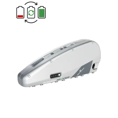 Bulls 36V Battery Regeneration