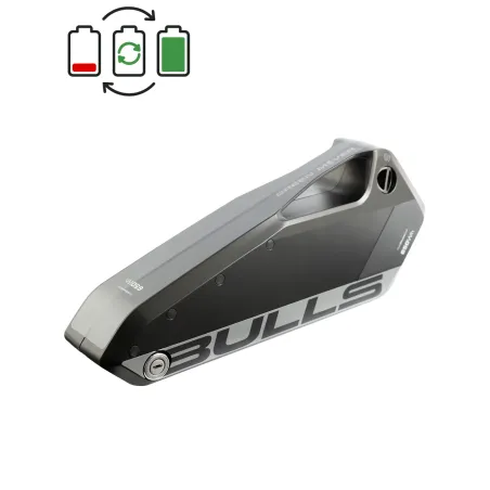 Régénération de la batterie Bulls 36V