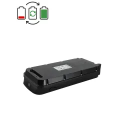 Regeneratie Prophete E-Novation 36V accu 2