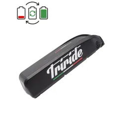 Regeneracja akumulatora Triride BS-R 48V