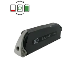 Regeneracja  TranzX/Winora BL05 24V